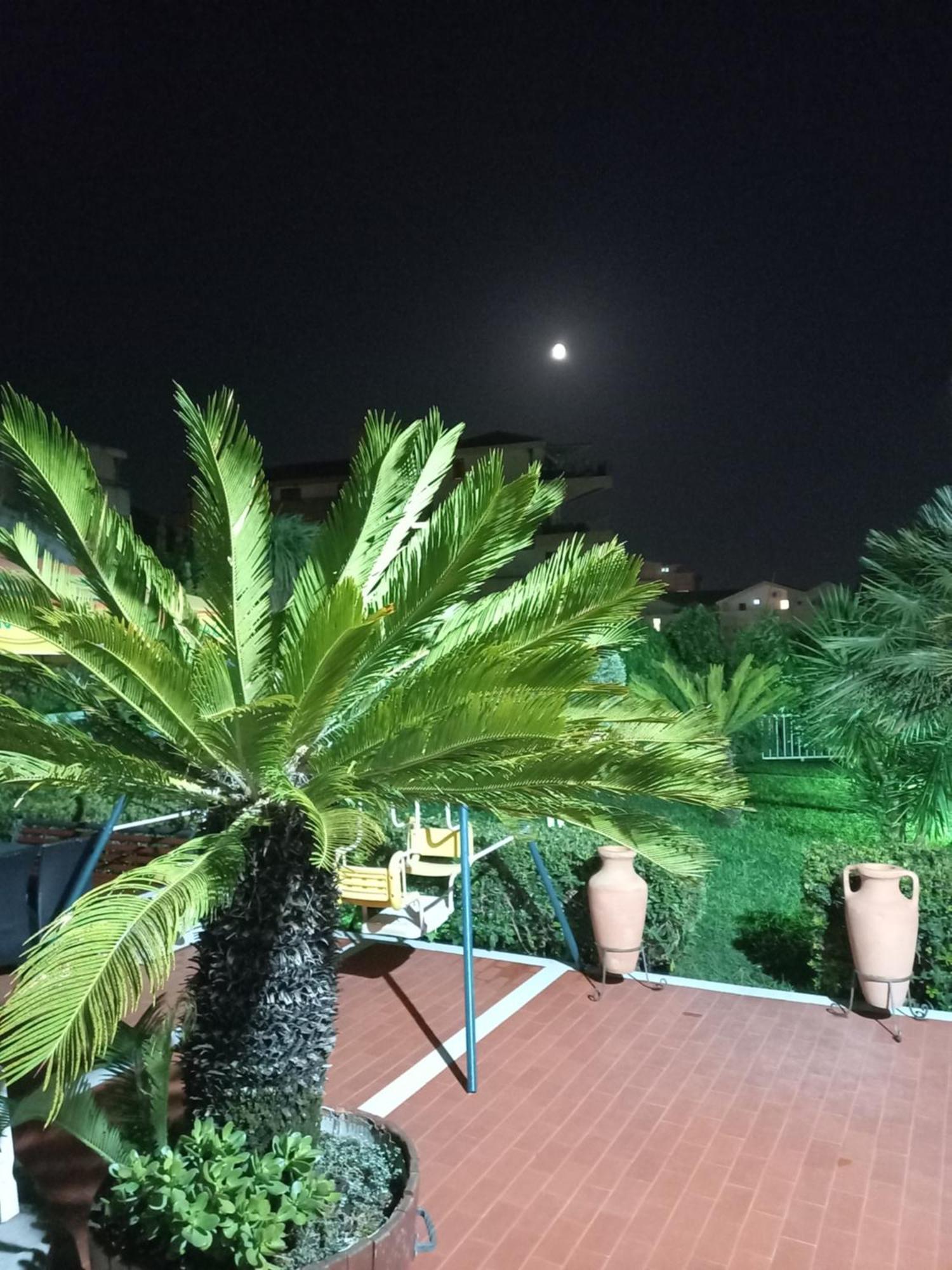 מלון Vila L בודווה מראה חיצוני תמונה